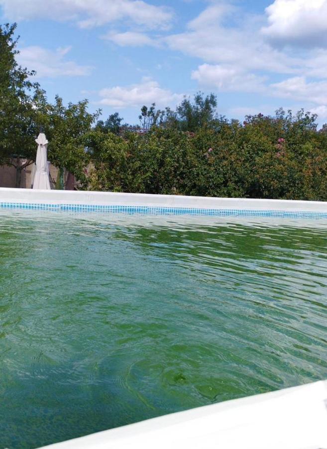 Baza Otdyha Primor'E Hotel Primorskoye Ngoại thất bức ảnh